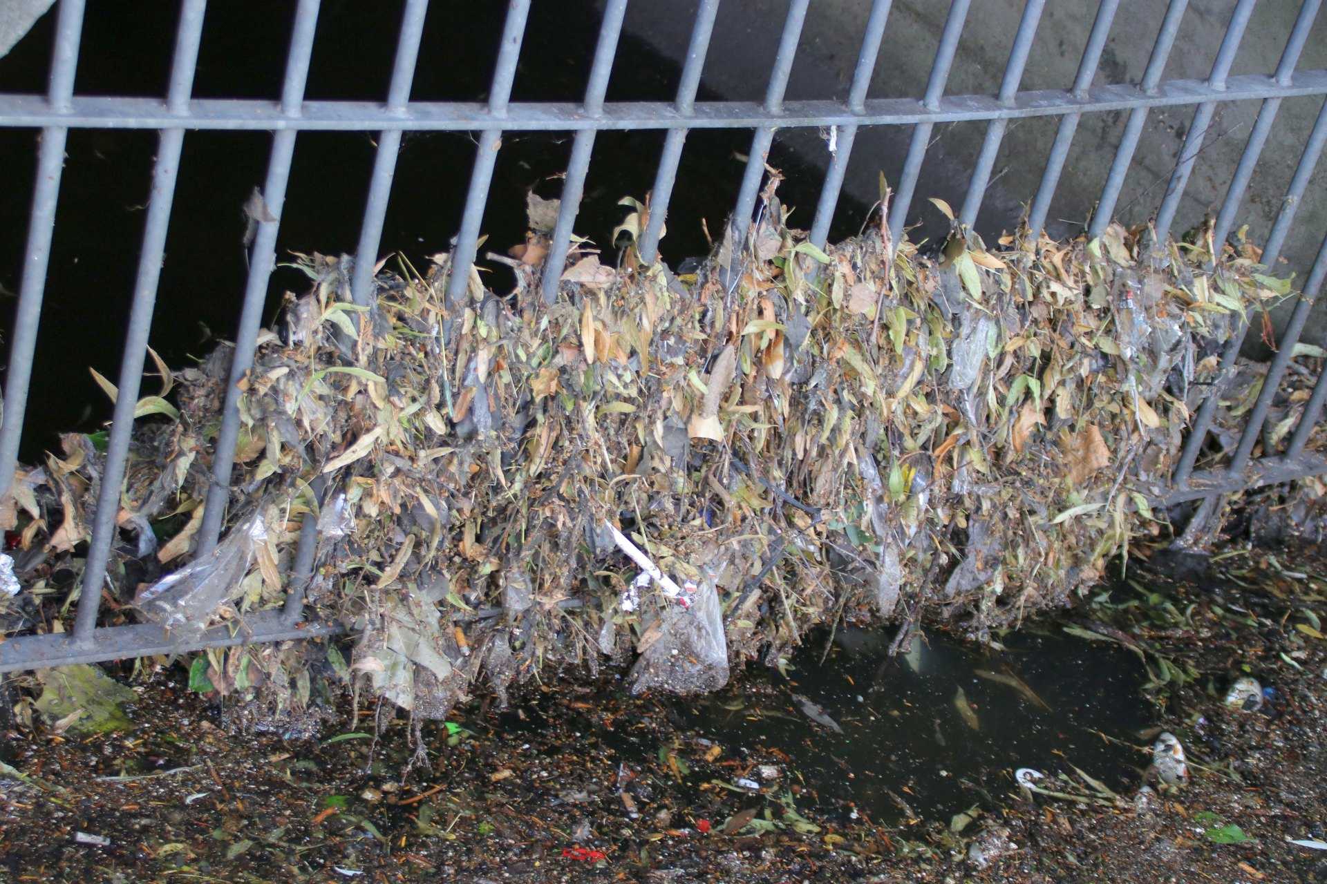 Straßendreck im Gewässer nach Niederschlag